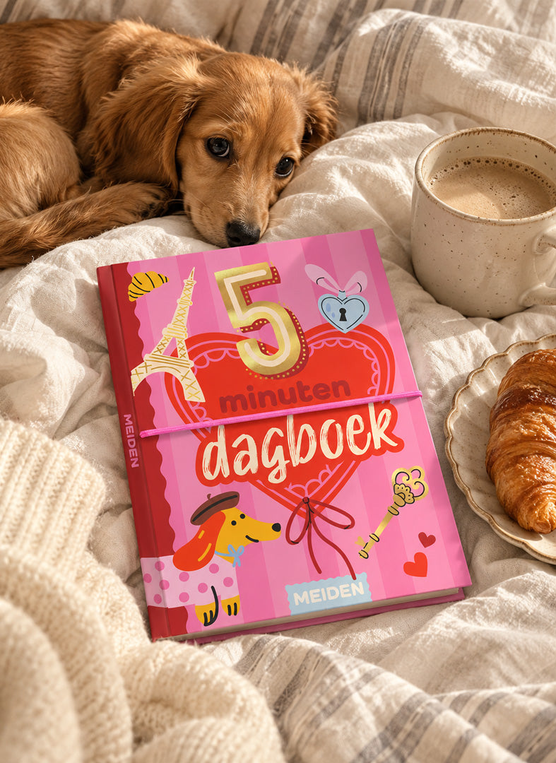 MEIDEN 5 Minuten Dagboek