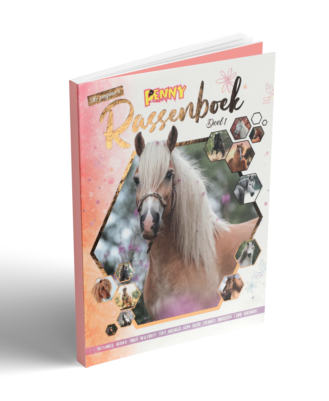 Renny Rassenboek Deel 1