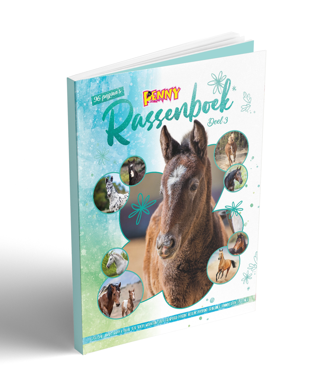 Penny Rassenboek Deel 3