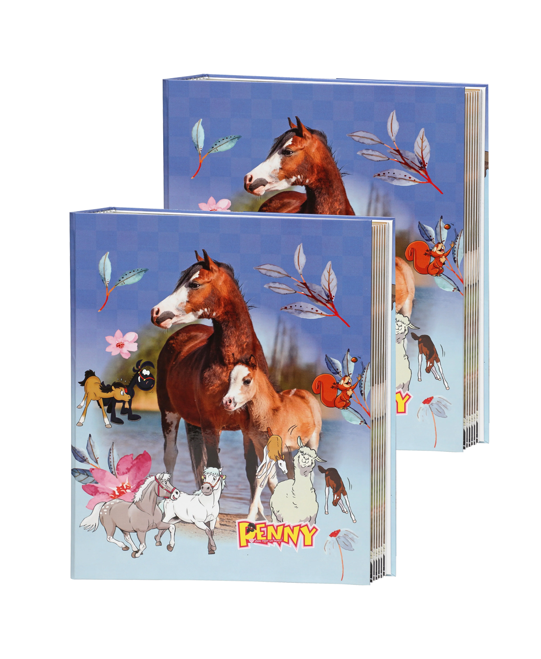 2x Verzamelbanden Romy