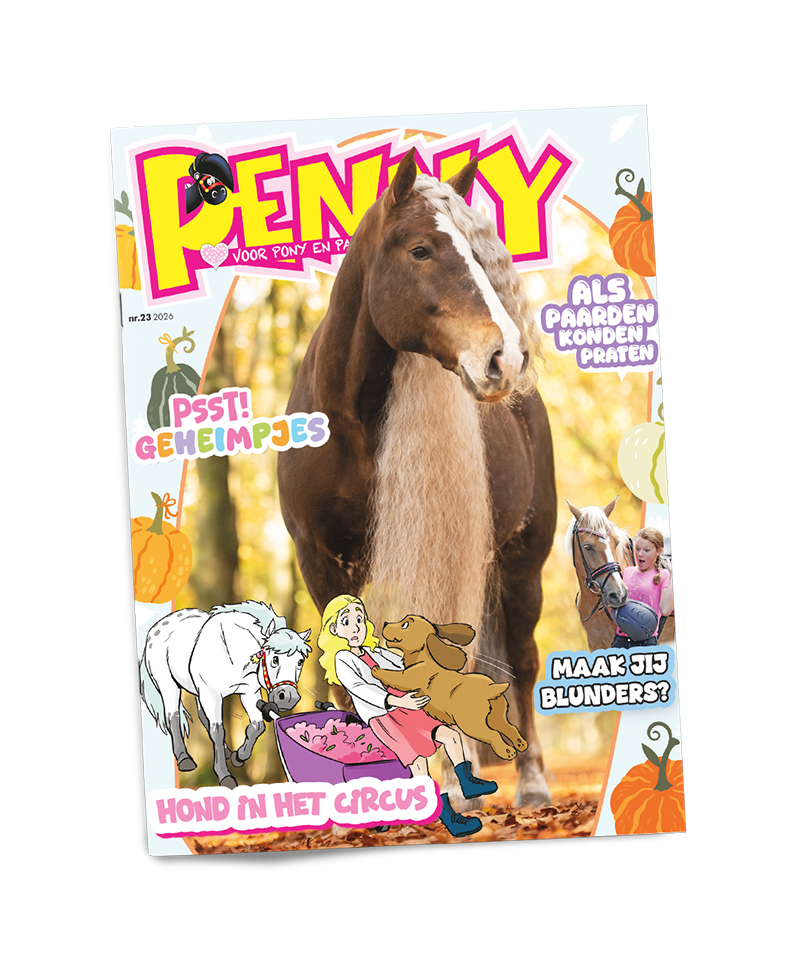 Penny 23 2026